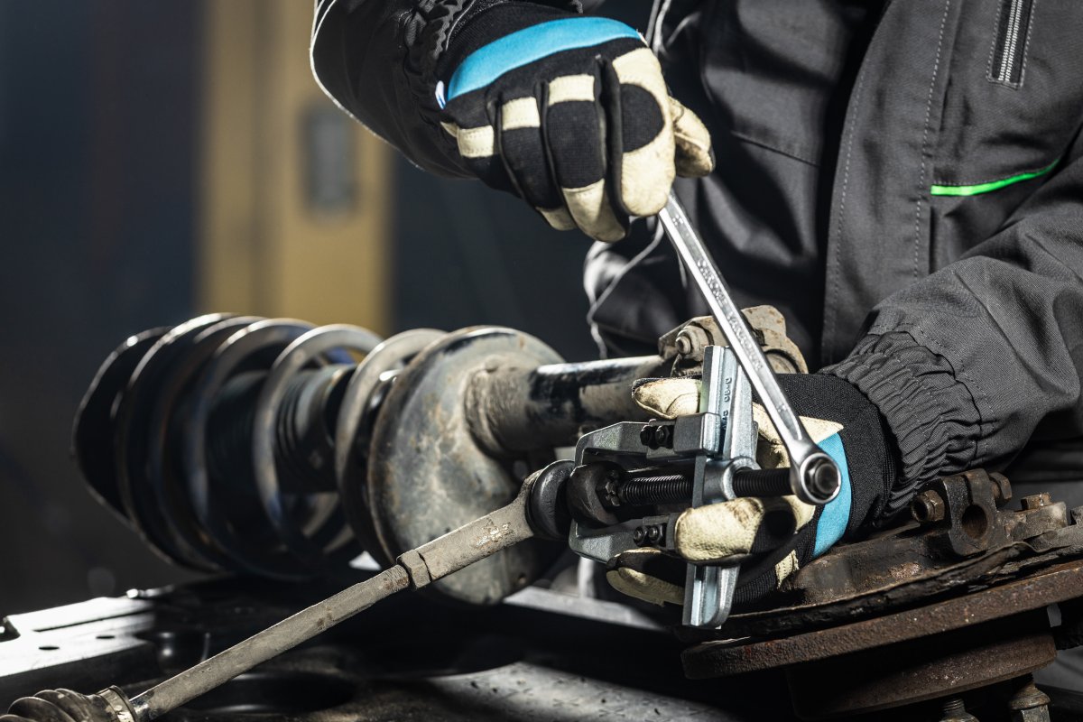 Novilcējs 2 ķepu 80/100mm HOEGERT