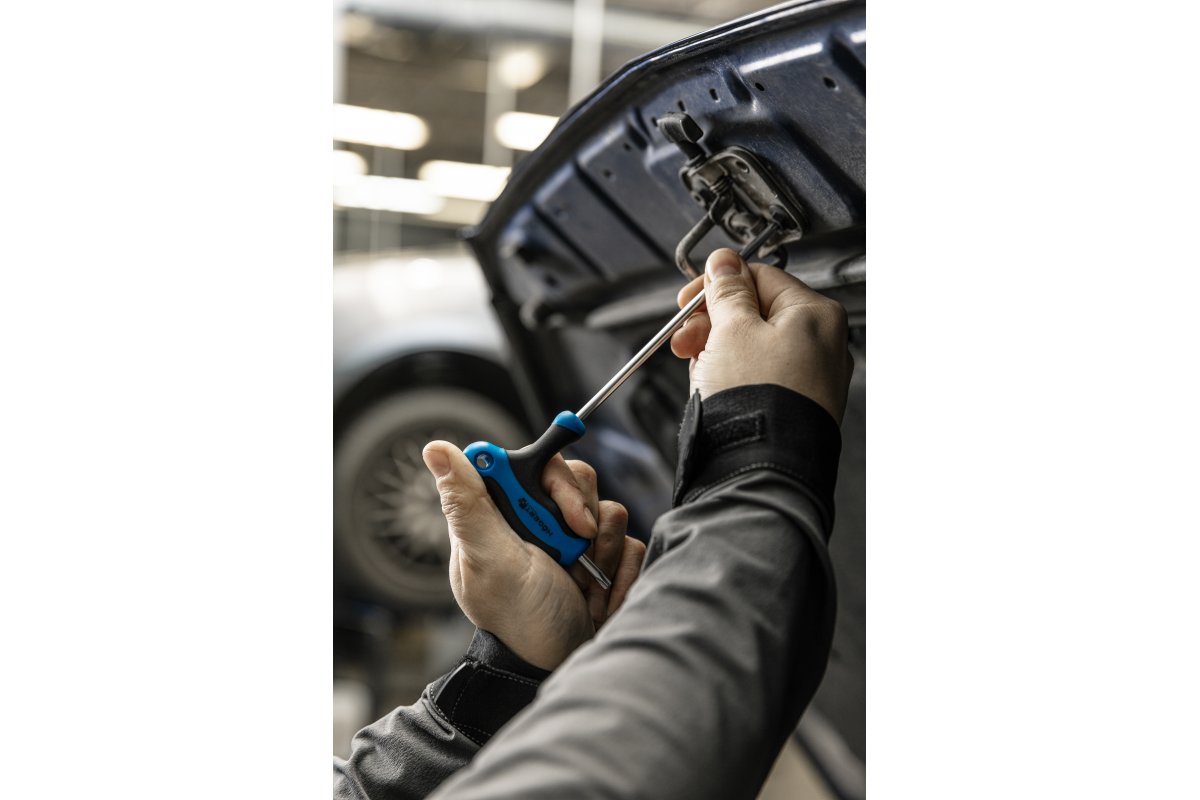 T tipa torx drošības atslēgas, garas TT10