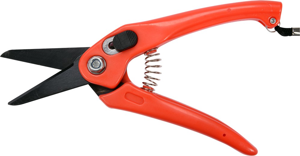 Griezēji | 50 mm (99193) - Image 8