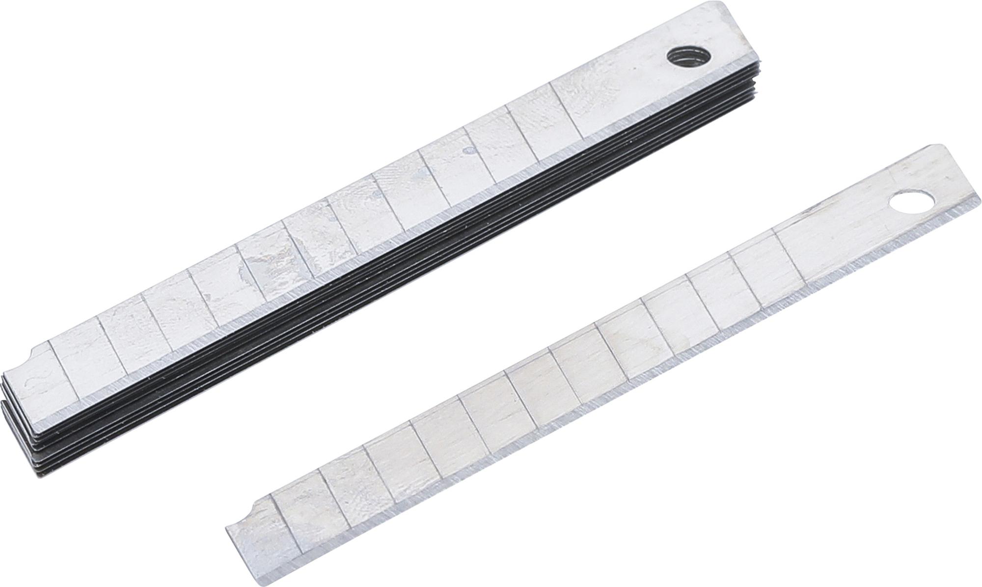 Rezerves asmeņu komplekts | 9 mm | 10 gab. (97973)