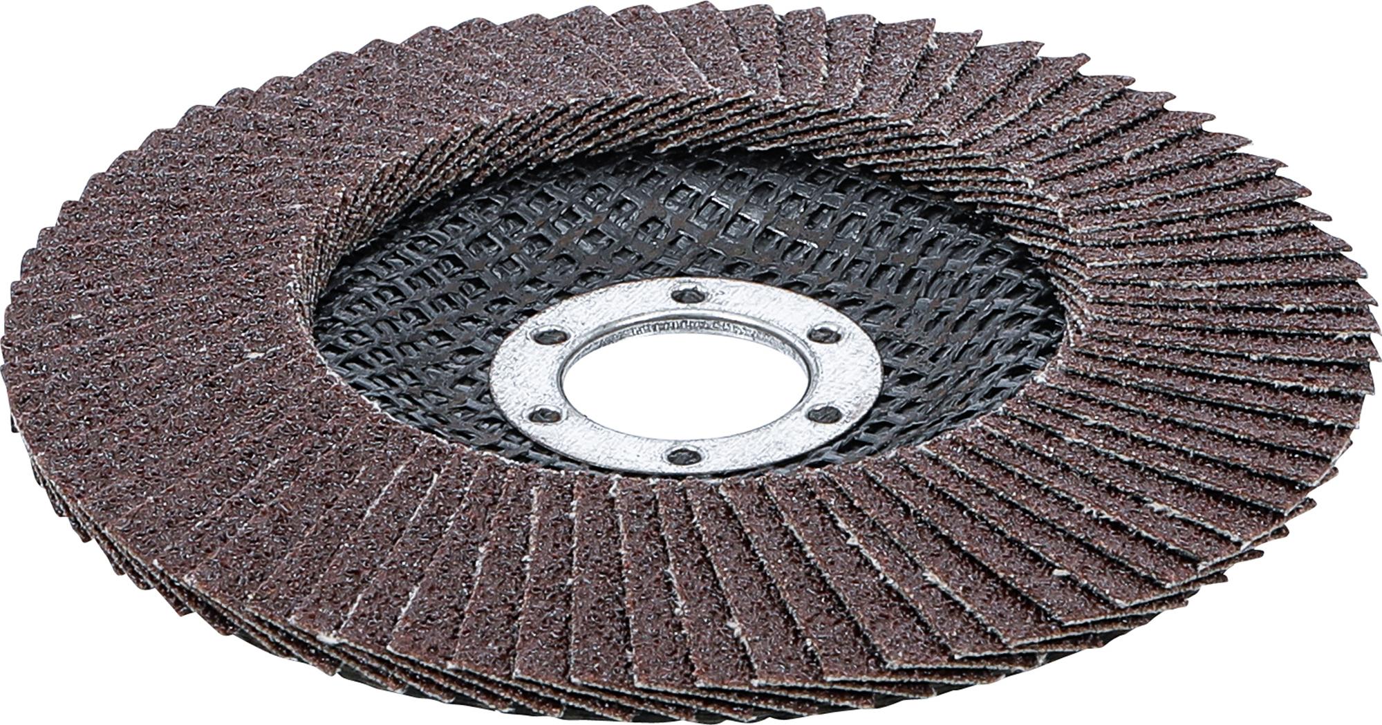 Atloku slīpēšanas disks | Ø 125 mm | K 80 (3976)