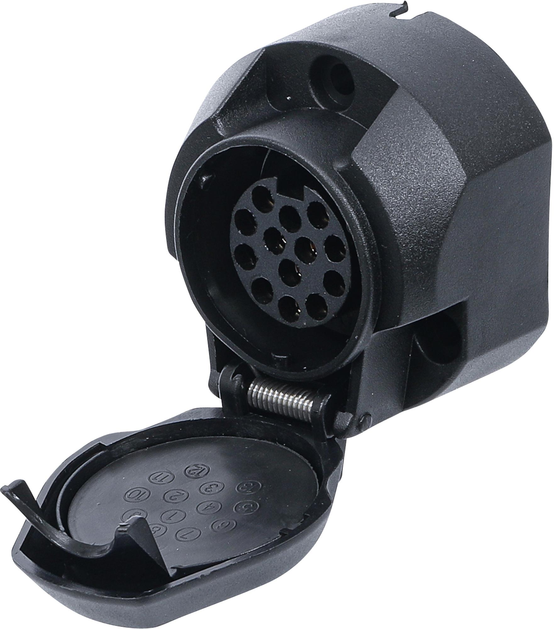 Piekabes ligzda | 13-pin (80964)