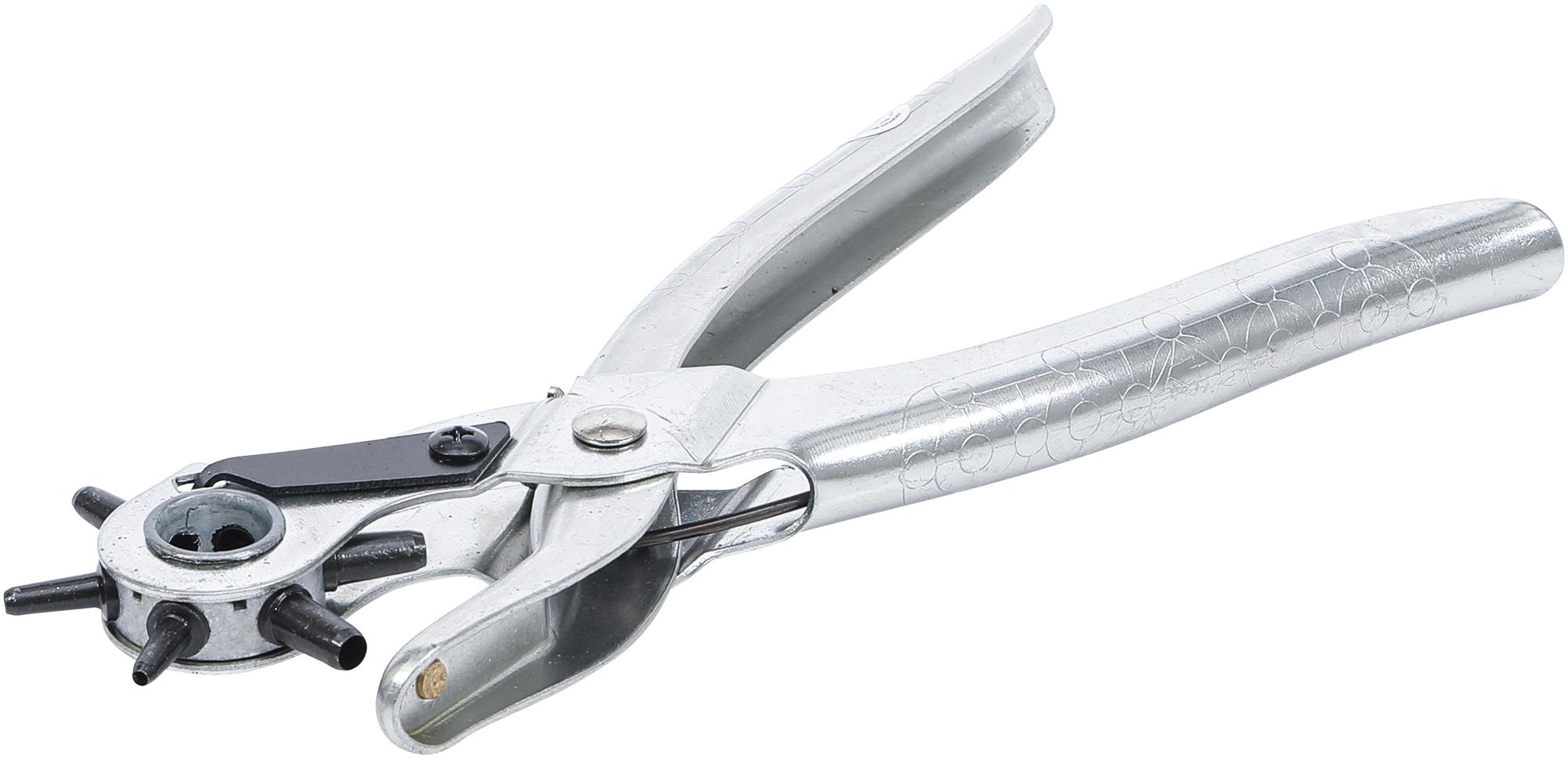 Caurumošanas knaibles | 2–4,5 mm (75835)